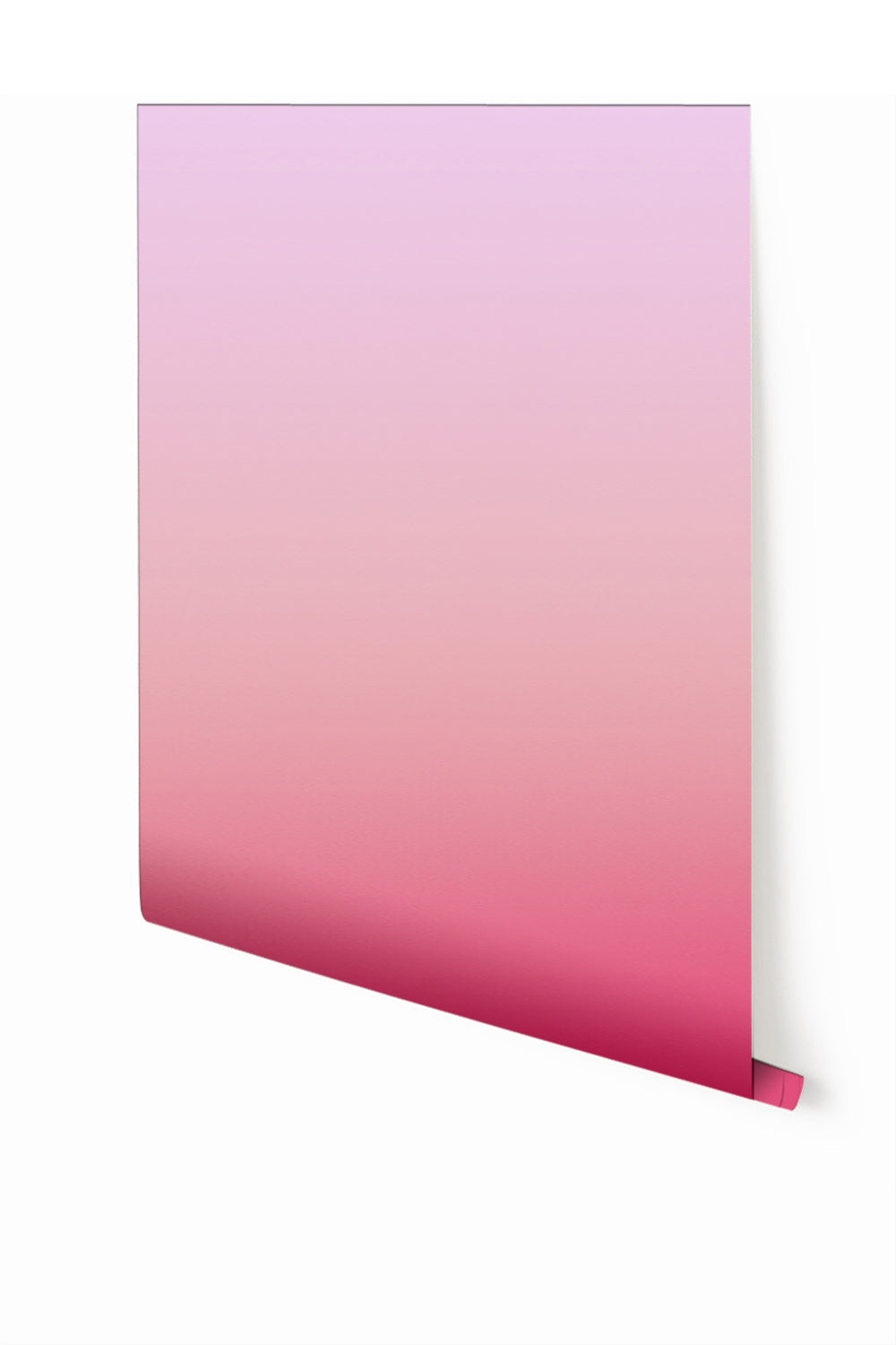 A rolled piece of wallpaper showing a gradient color change from white to magenta from drop it MODERN.