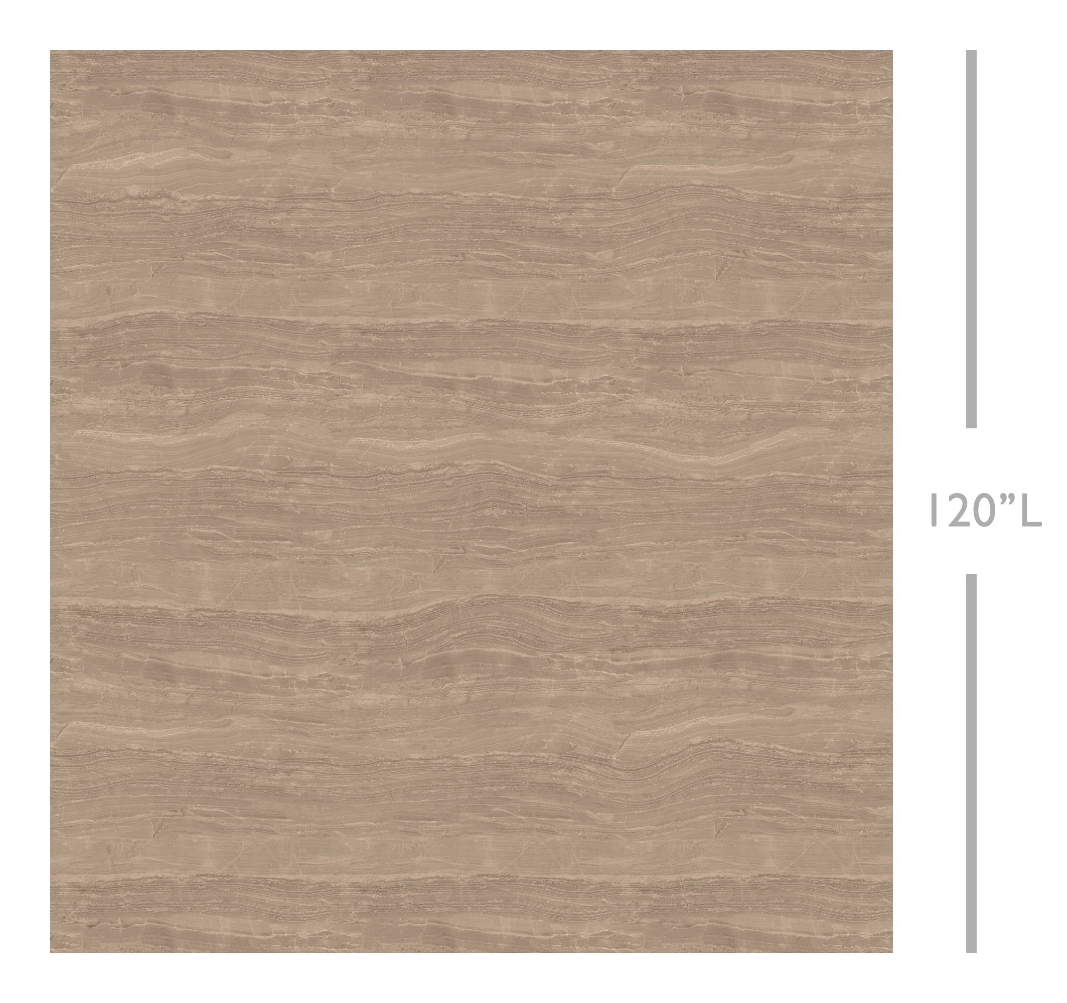 Travertine© Mural Wallpaper in Mocha