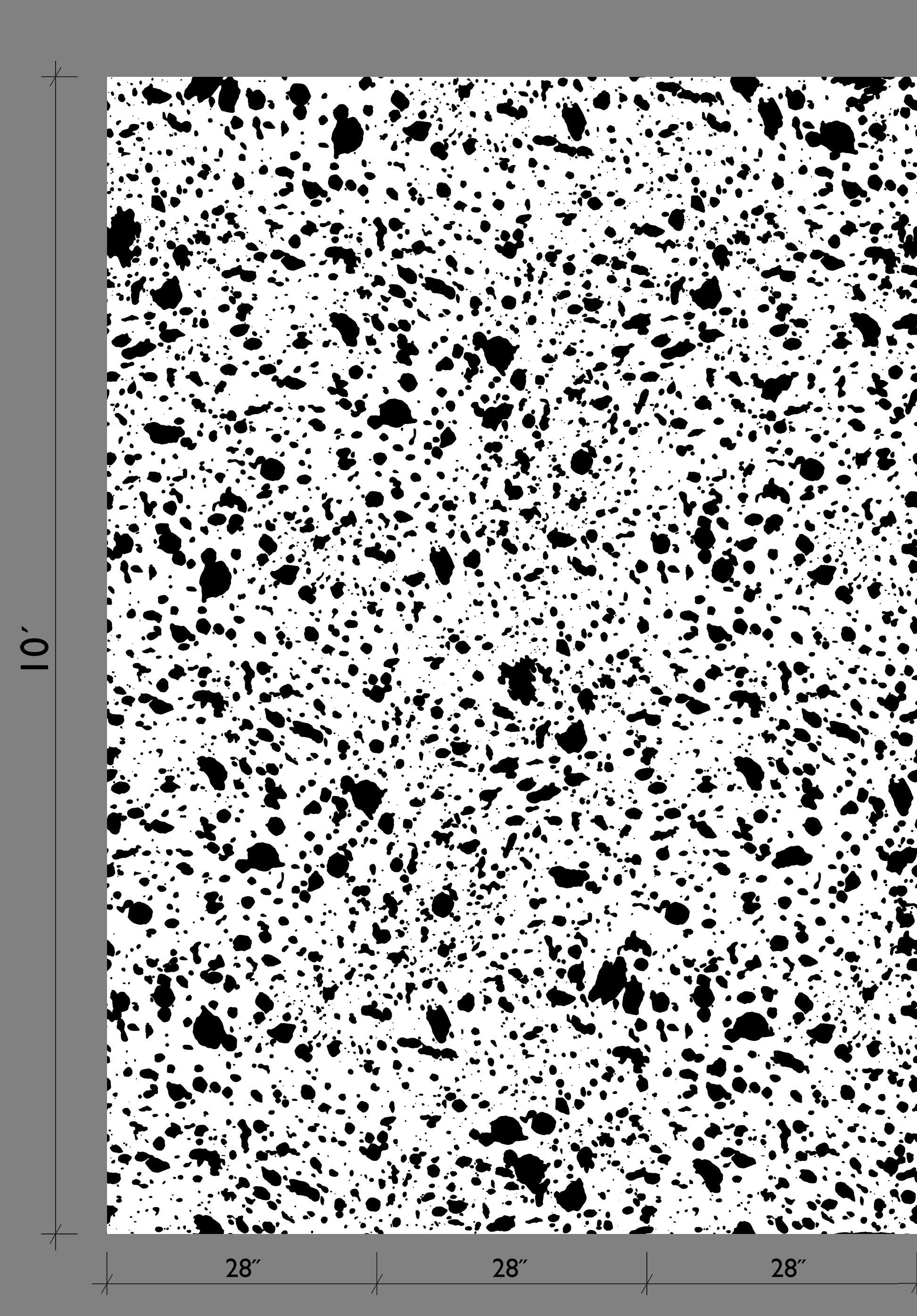 Appaloosa© Mural Wallpaper in Black + White