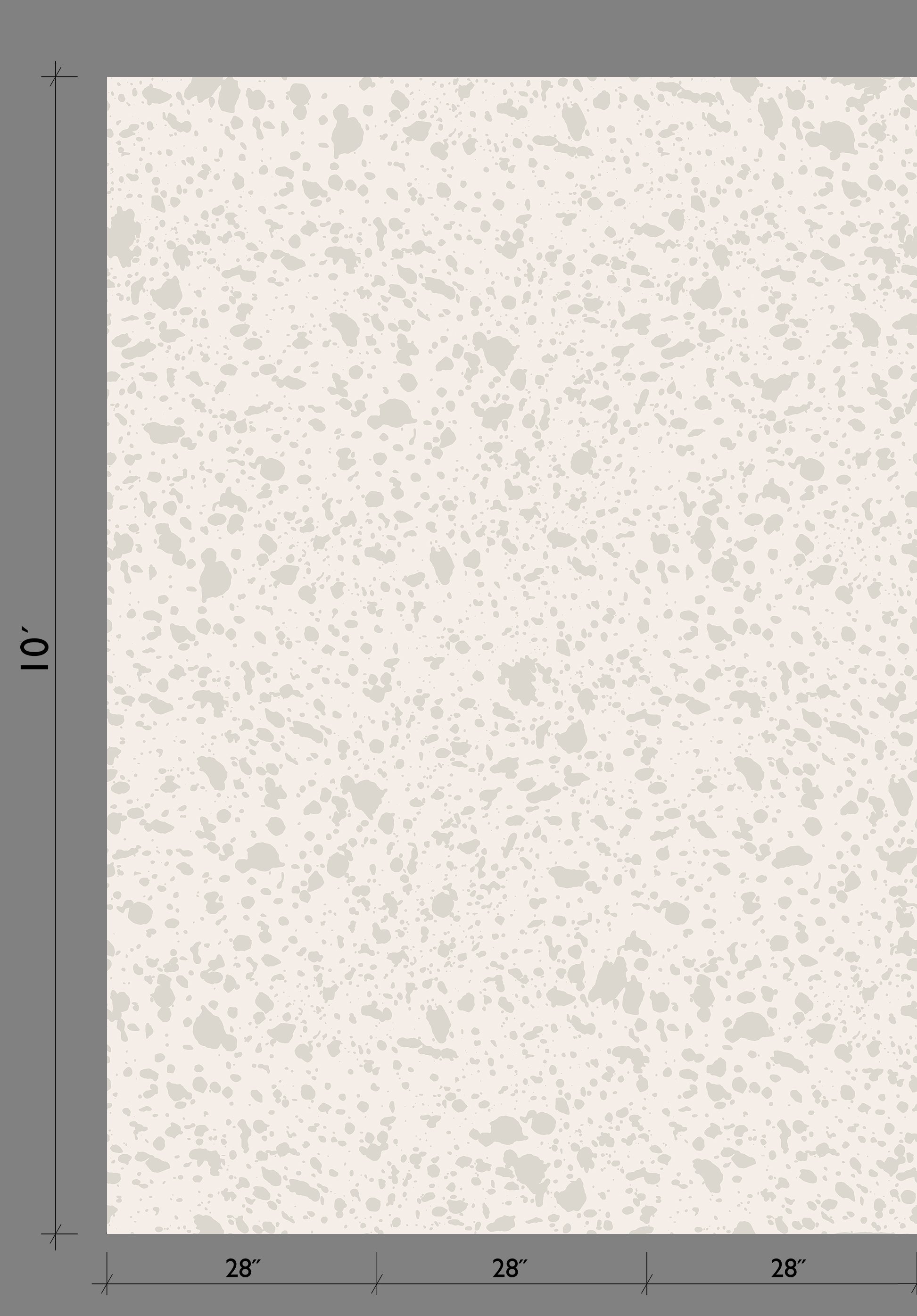 Appaloosa© Mural Wallpaper in Mineral