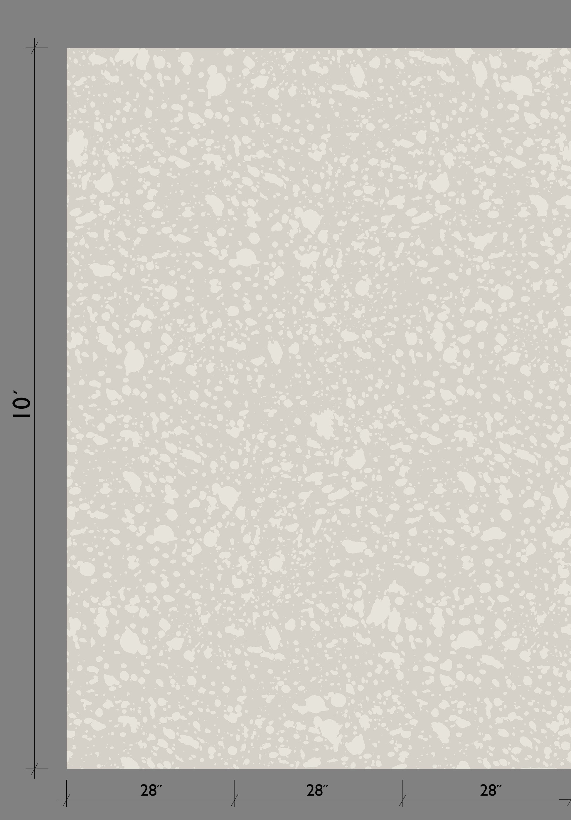 Appaloosa© Mural Wallpaper in Slate