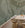 Untamed© Mural Wallpaper in Dusty Green