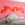 Abstract Art© Mural Wallpaper in Fuchsia