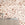 Appaloosa© Mural Wallpaper in Mojave