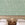 Appaloosa© Mural Wallpaper in Aloe
