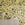 Appaloosa© Mural Wallpaper in Gold Rush