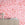 Appaloosa© Mural Wallpaper in Hollyhock