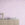 Appaloosa© Mural Wallpaper in Lilac