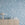 Appaloosa© Mural Wallpaper in Cornflower