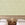 Appaloosa© Mural Wallpaper in Stonecrop