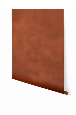 Heavenly© Mural Wallpaper in Red Rock