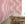 Oceanic© Mural Wallpaper in Mauve