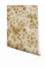 Sweet Spot© Wallpaper in Macadamia