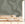 Untamed© Mural Wallpaper in Dusty Green