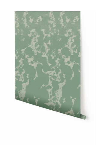 Tumbleweed© Wallpaper in Aloe