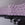 Corral© Wallpaper in Purple + Black