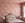 Prairie Fleur© Wallpaper in Peach