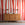 Longitude© Mural Wallpaper in Red