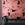 Magma© Wallpaper in Guava