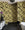 Snakeskin© Wallpaper in Gold Rush