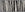 Longitude© Mural Wallpaper in Black + Cremé