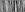Longitude© Mural Wallpaper in Black+White