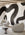 Untamed© Mural Wallpaper in Pebble