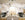 Untamed© Mural Wallpaper in Stone