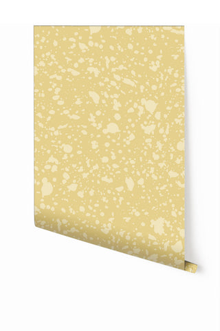 Appaloosa© Mural Wallpaper in Yellowstone