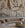 Famke© Mural Wallpaper in Earth