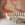 Untamed© Mural Wallpaper in Tangerine