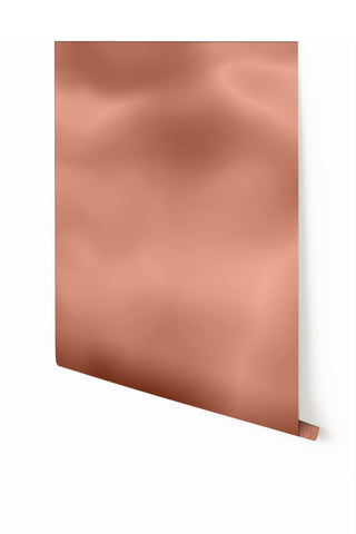 Electricity© Mural Wallpaper in Retro Rosegold