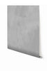Rock Steady© Mural Wallpaper in Cement