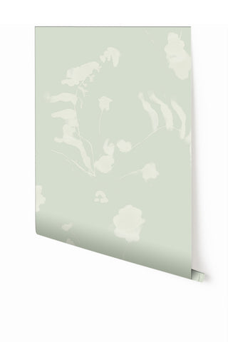 Greenhouse© Wallpaper in Reed